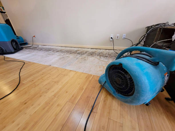 Professional Structural Drying technician working in Laddonia, MO
